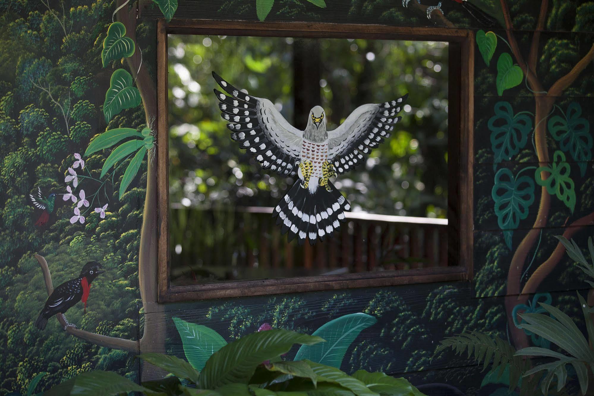 Casitas Tenorio B&B And Farm บิฆากัว ภายนอก รูปภาพ